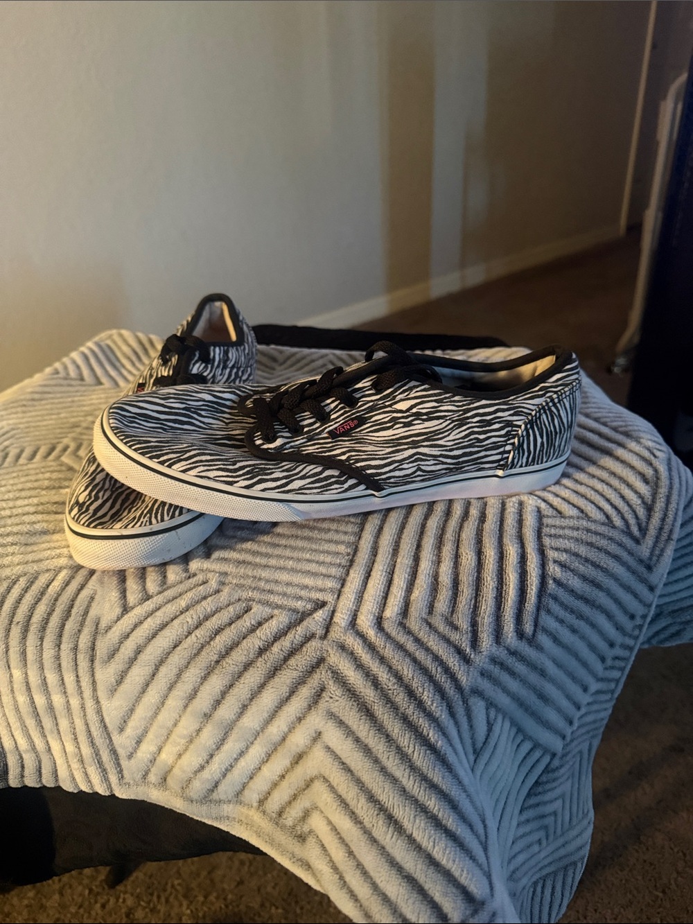 Vans Black & White Zebra Low-Top Sneakers